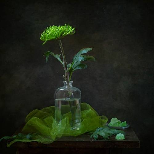  امثاله من حساب طرقیاش نه شبیه توئه نه کوچیکه مثه بغلیات